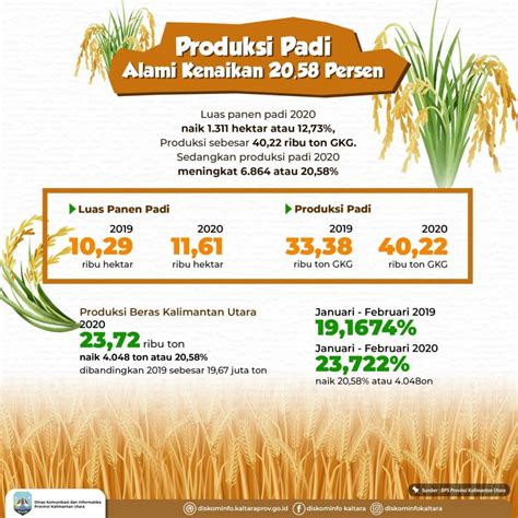 produksi padi per hektar dan produksi jerami di Kabupaten Sidrap dan selanjutnya dikonversi ke dalam satuan ternak